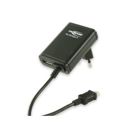 Ansmann Micro-USB Charger 1A Universale Nero AC Interno