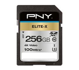 PNY Elite-X 256 GB SDXC UHS-I Classe 10