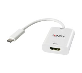 Lindy 43244 adattatore grafico USB 3840 x 2160 Pixel Bianco