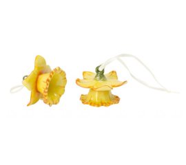 Mini Flower Bells Narciso giallo, set 2pz