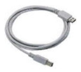 Datalogic Straight Cable - Type A USB cavo USB 2 m