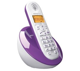 Motorola C601 Telefono DECT Identificatore di chiamata Viola, Bianco