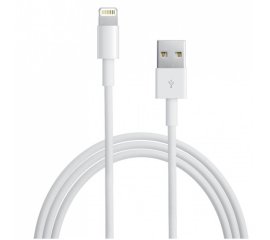 Techly Cavo da Apple Lightning a USB 1m Bianco (ICOC APP-8WHTY)
