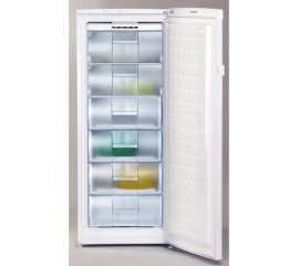 Beko FS 256 congelatore Congelatore verticale Da incasso 215 L Stainless steel
