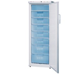 Bosch Freezer GSD29622 Congelatore verticale Libera installazione 252 L Bianco