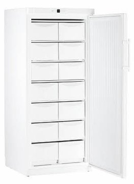 Liebherr G 5216 Congelatore verticale Libera installazione 472 L Bianco