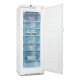 Electrolux EUF31301W congelatore Congelatore verticale Libera installazione 290 L Bianco 2