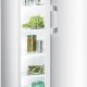 Gorenje R6182AW frigorifero Libera installazione 388 L Bianco 2