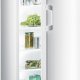 Gorenje R6181AW frigorifero Libera installazione 388 L Bianco 2