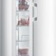 Gorenje F6181AW Congelatore verticale Libera installazione 261 L Bianco 2