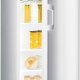 Gorenje R6181BW frigorifero Libera installazione 388 L Bianco 2