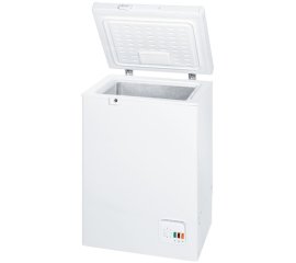 Indesit OFAA 100 F congelatore Congelatore a pozzo Libera installazione 102 L Bianco