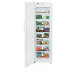 Liebherr SGN 3010 Premium NoFrost Congelatore verticale Libera installazione 261 L Bianco