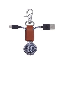 Native Union LKN-CAM-GLD-LE cavo USB USB A Micro-USB A Oro