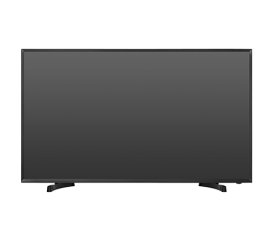 Hisense H40M2100S TV Hospitality 101,6 cm (40") Full HD 14 W