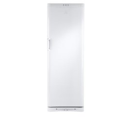Indesit UFAN400 congelatore Congelatore verticale 238 L