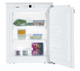 Liebherr IG 1024 congelatore Congelatore verticale Da incasso 74 L E Bianco