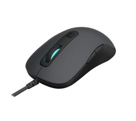 Rapoo N3610 – Mouse ottico con cavo USB, 1000 DPI – Mano destra - grigio