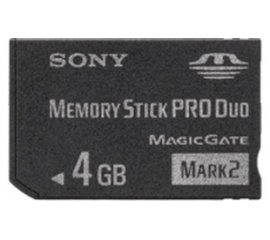 Sony MSMT4GN 4 GB MS Pro Duo