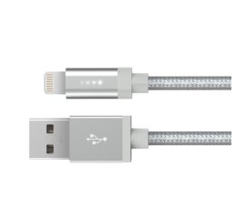Kanex 1.2m USB/ Lightning 1,2 m Argento