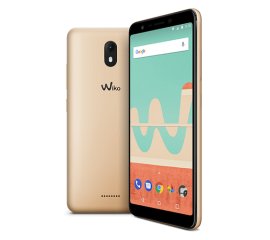 Wiko View Go 14,5 cm (5.7") Doppia SIM Android 8.1 4G Micro-USB 2 GB 16 GB 3000 mAh Oro