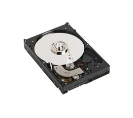DELL 400-AFPZ disco rigido interno 3.5" 2 TB Seriale ATA II
