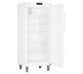 Liebherr GKv 5730 ProfiLine frigorifero Libera installazione C Bianco