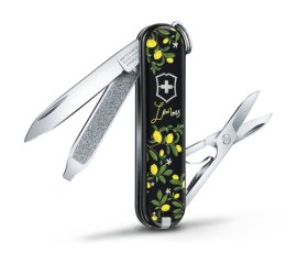 Victorinox 0.6223.L1905 coltello da tasca Coltello multiuso Multicolore