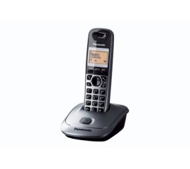 Panasonic KX-TG2511JTT telefono Telefono DECT Identificatore di chiamata Titanio