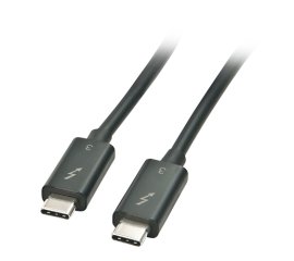Lindy 41555 cavo USB 0,5 m USB 3.2 Gen 1 (3.1 Gen 1) USB C Nero