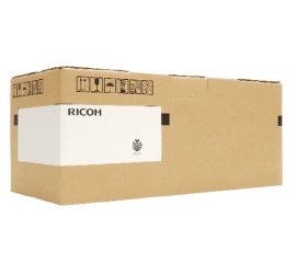 Ricoh 418135 kit per stampante Kit di manutenzione