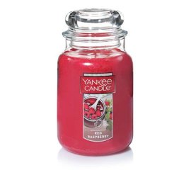 Yankee Candle Red Raspberry candela di cera Cilindro Zucchero, Muschio Rosso 1 pz