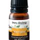 Innoliving INN-774VANIGLIA olio essenziale 10 ml Vaniglia Diffusore di aromi 2