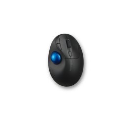 Kensington Pro Fit Ergo TB450 mouse Ufficio Mano destra RF senza fili + Bluetooth Trackball 1600 DPI