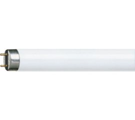 Philips MASTER TL-D Super 80 lampada fluorescente 18 W G13 Illuminazione fredda